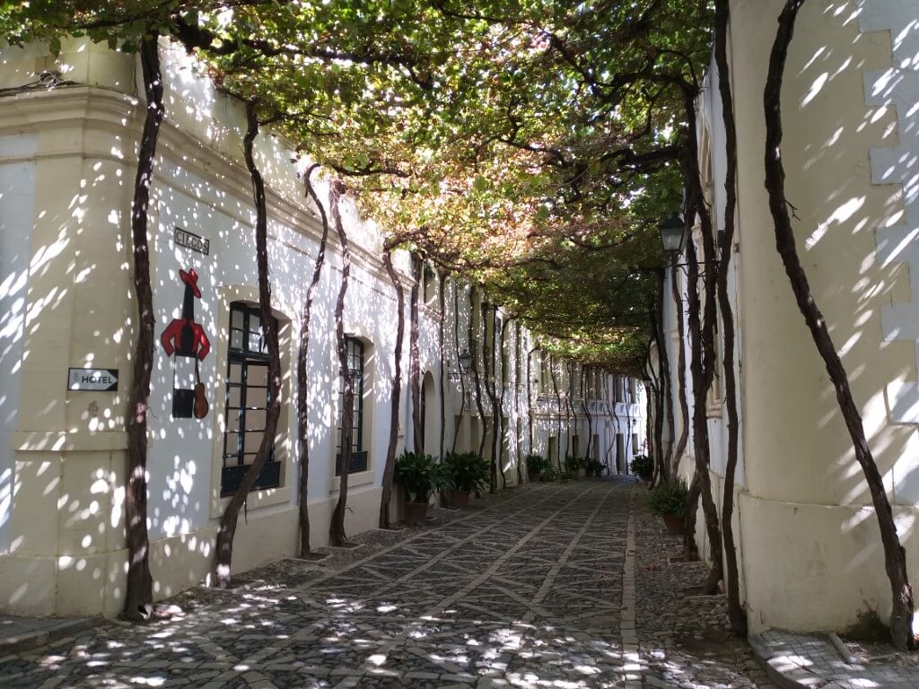 Znajdująca się obecnie na terenie bodegi González Byass najpiękniejsza w całym Jerezie uliczka ocieniona przez winorośl.