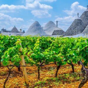 Na szlaku primitivo – Apulia i Bazylikata