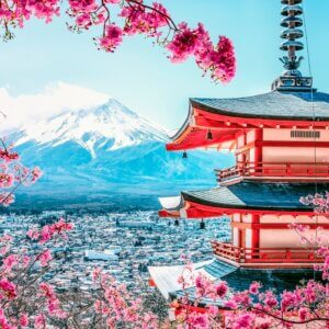 Japonia - kwitnące wiśnie i wino samurajów.